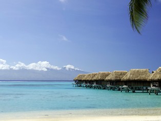 Polinesia – Sofitel Moorea Ia Ora Beach Resort