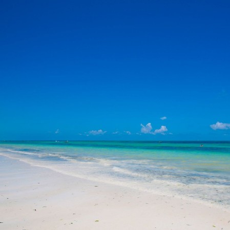 Bravo Kiwengwa - Zanzibar La spiaggia del Bravo Kiwengwa - Zanzibar