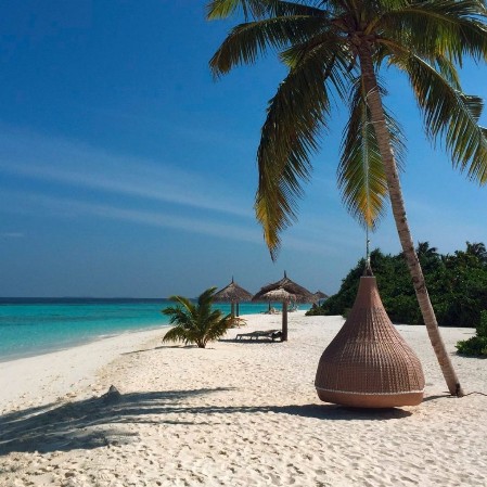 Maldive, vista della spiaggia  del Seaclub furaveri Island resrot e spa