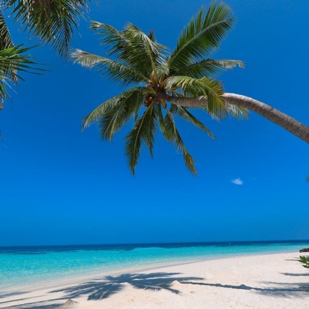 maldive - vista della spiaggia del seaclub athuruga beach e water villa