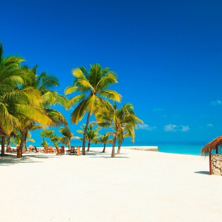 Maldive, seaclub dhiggiri vista palme e spiaggia bianca