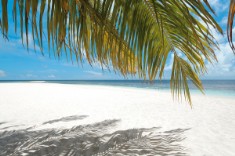 Maldive-Bathala