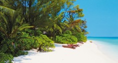 Maldive-Bathala