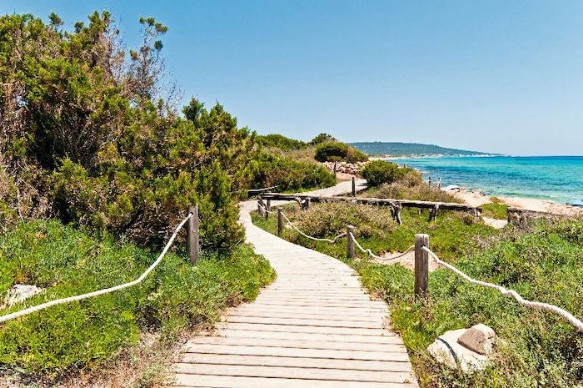 Seaclub Insotel Formentera Seaclub Insotel Formentera la strada per il mare